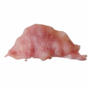 Filete Mantarraya Kg