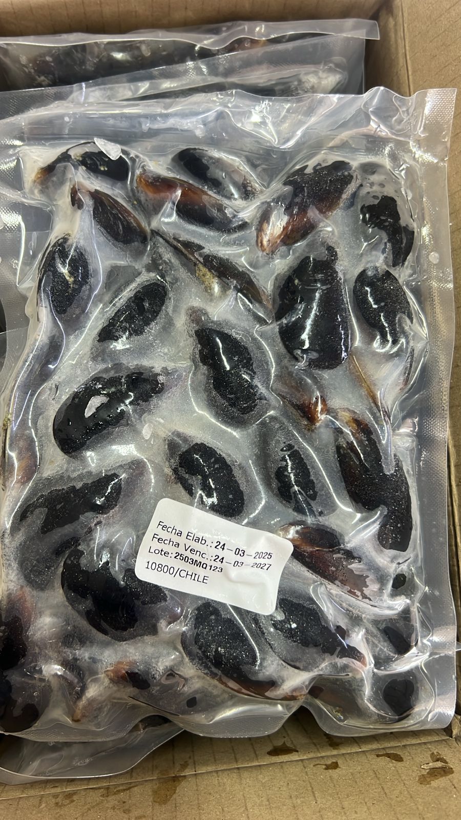 Mejillón Chileno (500g)