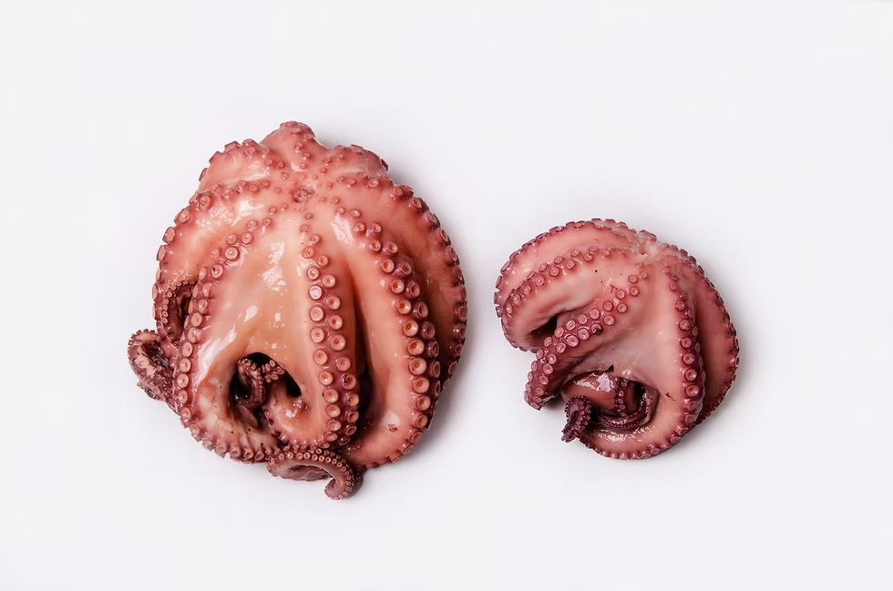 PULPO COCIDO 2-4 (KG)