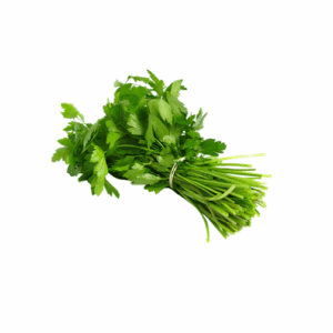 Cilantro (Mazo)