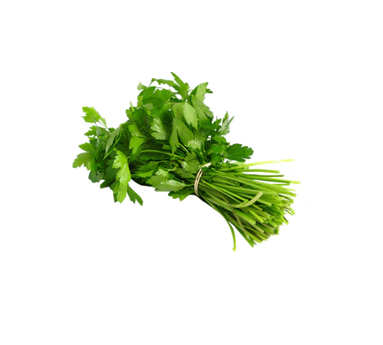 Cilantro (Mazo)