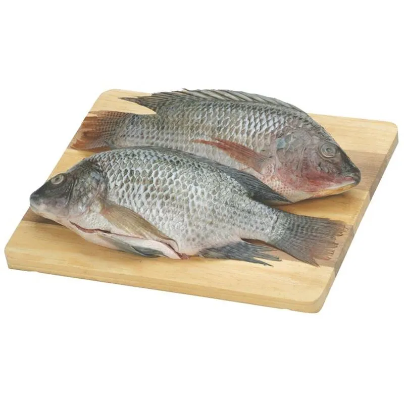TILAPIA ENTERA (KG)